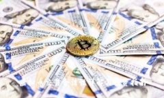 虚拟币交易合法性详解与投资指南