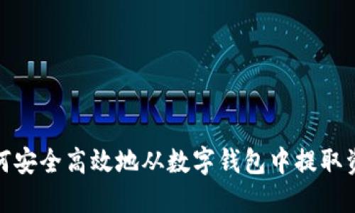 如何安全高效地从数字钱包中提取资金