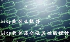 bitp是什么软件bitp软件简介及其功能探讨