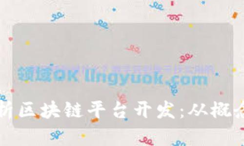 全面解析区块链平台开发：从概念到实践