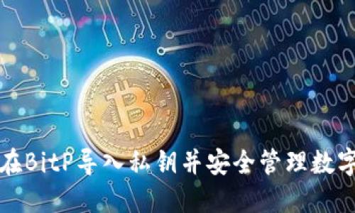 如何在BitP导入私钥并安全管理数字资产