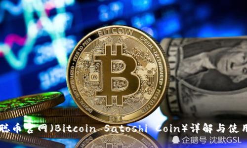 中本聪币官网（Bitcoin Satoshi Coin）详解与使用指南