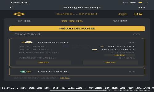 OKPay充值与支付全攻略：步骤详解与常见问答